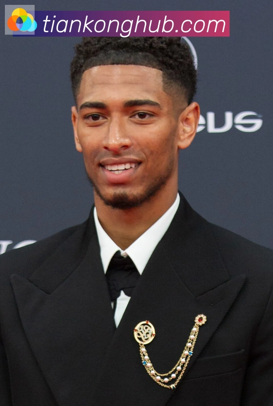 维尼修斯